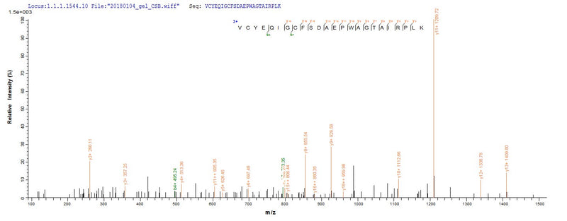 Based on the SEQUEST from database of Yeast host and target protein, the LC-MS/MS Analysis result of this product could indicate that this peptide derived from Yeast-expressed Canis lupus familiaris (Dog) (Canis familiaris) PNLIPRP1.
