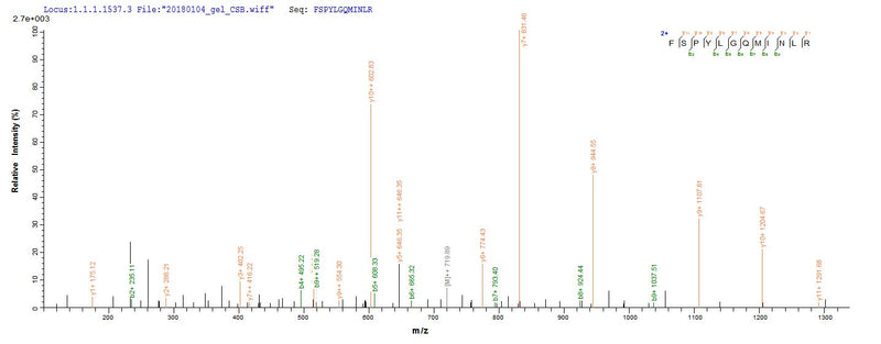 Based on the SEQUEST from database of Yeast host and target protein, the LC-MS/MS Analysis result of this product could indicate that this peptide derived from Yeast-expressed Homo sapiens (Human) PRAME.Recombinant Human Melanoma Antigen Preferentially Expressed In Tumors (PRAME) Protein (His)