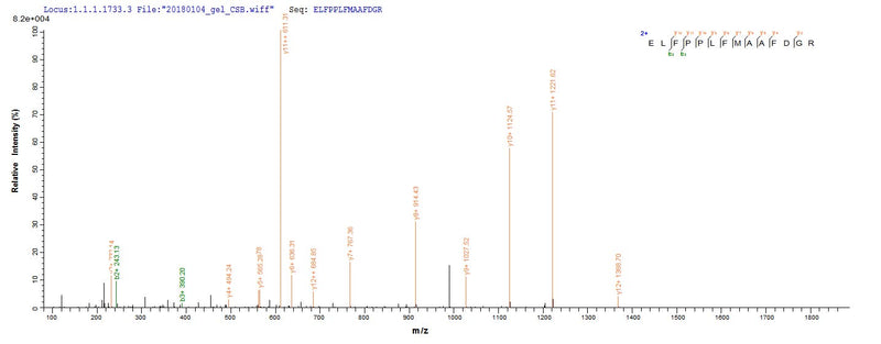 Based on the SEQUEST from database of Yeast host and target protein, the LC-MS/MS Analysis result of this product could indicate that this peptide derived from Yeast-expressed Homo sapiens (Human) PRAME.Recombinant Human Melanoma Antigen Preferentially Expressed In Tumors (PRAME) Protein (His)