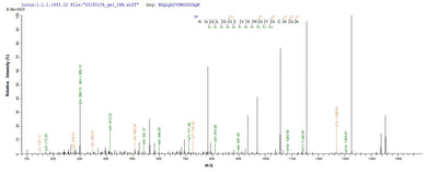 Based on the SEQUEST from database of Yeast host and target protein, the LC-MS/MS Analysis result of this product could indicate that this peptide derived from Yeast-expressed Sus scrofa (Pig) N/A.