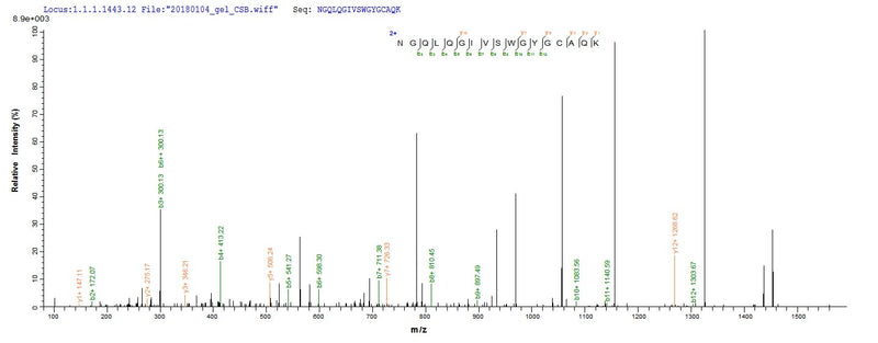 Based on the SEQUEST from database of Yeast host and target protein, the LC-MS/MS Analysis result of this product could indicate that this peptide derived from Yeast-expressed Sus scrofa (Pig) N/A.