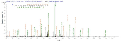 Based on the SEQUEST from database of Yeast host and target protein, the LC-MS/MS Analysis result of this product could indicate that this peptide derived from Yeast-expressed Rattus norvegicus (Rat) Prss2.
