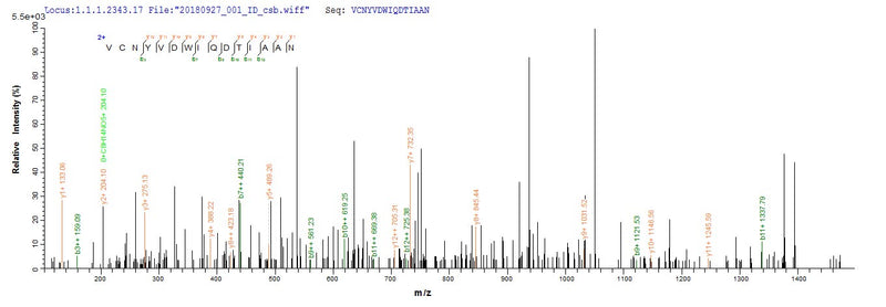 Based on the SEQUEST from database of Yeast host and target protein, the LC-MS/MS Analysis result of this product could indicate that this peptide derived from Yeast-expressed Rattus norvegicus (Rat) Prss2.