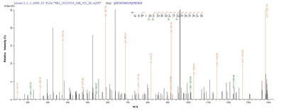 Based on the SEQUEST from database of Yeast host and target protein, the LC-MS/MS Analysis result of this product could indicate that this peptide derived from Yeast-expressed Homo sapiens (Human) PTPRZ1.Recombinant Receptor-Type Tyrosine-Protein Phosphatase Zeta (PTPRZ1) Protein (His)