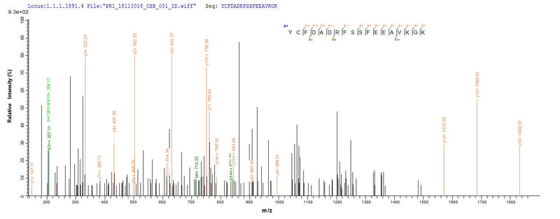 Based on the SEQUEST from database of Yeast host and target protein, the LC-MS/MS Analysis result of this product could indicate that this peptide derived from Yeast-expressed Homo sapiens (Human) PTPRZ1.Recombinant Receptor-Type Tyrosine-Protein Phosphatase Zeta (PTPRZ1) Protein (His)