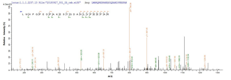 Based on the SEQUEST from database of Yeast host and target protein, the LC-MS/MS Analysis result of this product could indicate that this peptide derived from Yeast-expressed Homo sapiens (Human) SAG.Recombinant Human S-Arrestin (SAG) Protein (His)