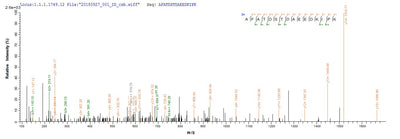 Based on the SEQUEST from database of Yeast host and target protein, the LC-MS/MS Analysis result of this product could indicate that this peptide derived from Yeast-expressed Homo sapiens (Human) SAG.Recombinant Human S-Arrestin (SAG) Protein (His)