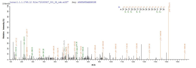 Based on the SEQUEST from database of Yeast host and target protein, the LC-MS/MS Analysis result of this product could indicate that this peptide derived from Yeast-expressed Homo sapiens (Human) SAG.Recombinant Human S-Arrestin (SAG) Protein (His)