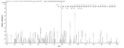 Based on the SEQUEST from database of Yeast host and target protein, the LC-MS/MS Analysis result of this product could indicate that this peptide derived from Yeast-expressed Homo sapiens (Human) SEPP1.Recombinant Human Selenoprotein P (SELENOP) Protein (His)