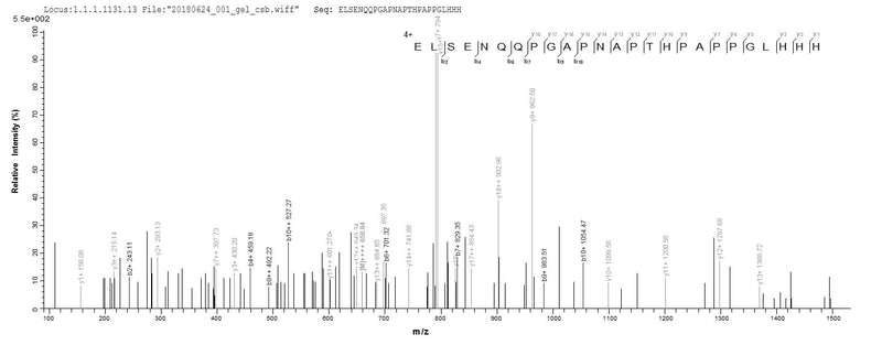 Based on the SEQUEST from database of Yeast host and target protein, the LC-MS/MS Analysis result of this product could indicate that this peptide derived from Yeast-expressed Homo sapiens (Human) SEPP1.Recombinant Human Selenoprotein P (SELENOP) Protein (His)
