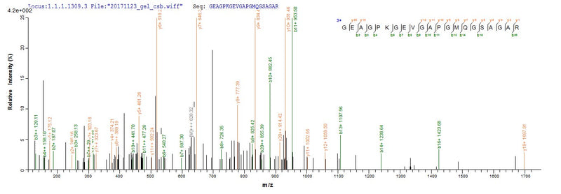 Based on the SEQUEST from database of Yeast host and target protein, the LC-MS/MS Analysis result of this product could indicate that this peptide derived from Yeast-expressed Homo sapiens (Human) SFTPD.Recombinant Human Pulmonary Surfactant-Associated Protein D (SFTPD) Protein (His)