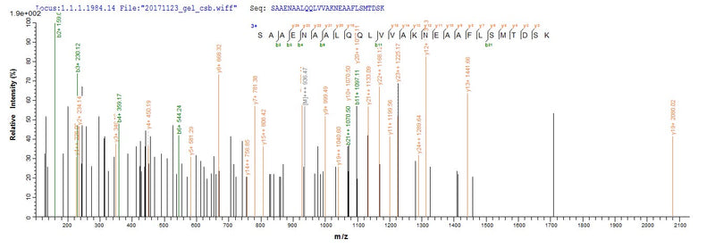 Based on the SEQUEST from database of Yeast host and target protein, the LC-MS/MS Analysis result of this product could indicate that this peptide derived from Yeast-expressed Homo sapiens (Human) SFTPD.Recombinant Human Pulmonary Surfactant-Associated Protein D (SFTPD) Protein (His)
