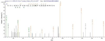 Based on the SEQUEST from database of Yeast host and target protein, the LC-MS/MS Analysis result of this product could indicate that this peptide derived from Yeast-expressed Mus musculus (Mouse) Spp1.Recombinant Mouse Osteopontin (SPP1) Protein (His)
