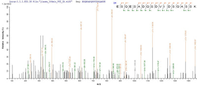 Based on the SEQUEST from database of Yeast host and target protein, the LC-MS/MS Analysis result of this product could indicate that this peptide derived from Yeast-expressed Mus musculus (Mouse) Spp1.Recombinant Mouse Osteopontin (SPP1) Protein (His)