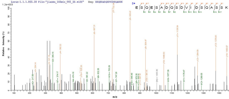 Based on the SEQUEST from database of Yeast host and target protein, the LC-MS/MS Analysis result of this product could indicate that this peptide derived from Yeast-expressed Mus musculus (Mouse) Spp1.Recombinant Mouse Osteopontin (SPP1) Protein (His)