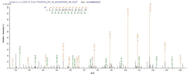 Based on the SEQUEST from database of Yeast host and target protein, the LC-MS/MS Analysis result of this product could indicate that this peptide derived from Yeast-expressed Sus scrofa (Pig) TCN1.Recombinant Pig Transcobalamin-1 (TCN1) Protein (His)