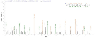 Based on the SEQUEST from database of Yeast host and target protein, the LC-MS/MS Analysis result of this product could indicate that this peptide derived from Yeast-expressed Sus scrofa (Pig) TCN1.Recombinant Pig Transcobalamin-1 (TCN1) Protein (His)