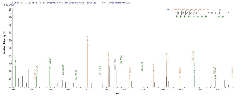 Based on the SEQUEST from database of Yeast host and target protein, the LC-MS/MS Analysis result of this product could indicate that this peptide derived from Yeast-expressed Sus scrofa (Pig) TCN1.Recombinant Pig Transcobalamin-1 (TCN1) Protein (His)