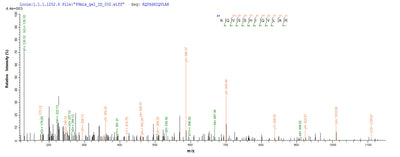 Based on the SEQUEST from database of Yeast host and target protein, the LC-MS/MS Analysis result of this product could indicate that this peptide derived from Yeast-expressed Homo sapiens (Human) TEAD1.Recombinant Human Transcriptional Enhancer Factor Tef-1 (TEAD1) Protein (His)