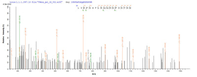 Based on the SEQUEST from database of Yeast host and target protein, the LC-MS/MS Analysis result of this product could indicate that this peptide derived from Yeast-expressed Homo sapiens (Human) TEAD1.Recombinant Human Transcriptional Enhancer Factor Tef-1 (TEAD1) Protein (His)