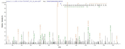 Based on the SEQUEST from database of Yeast host and target protein, the LC-MS/MS Analysis result of this product could indicate that this peptide derived from Yeast-expressed Rattus norvegicus (Rat) Tf.