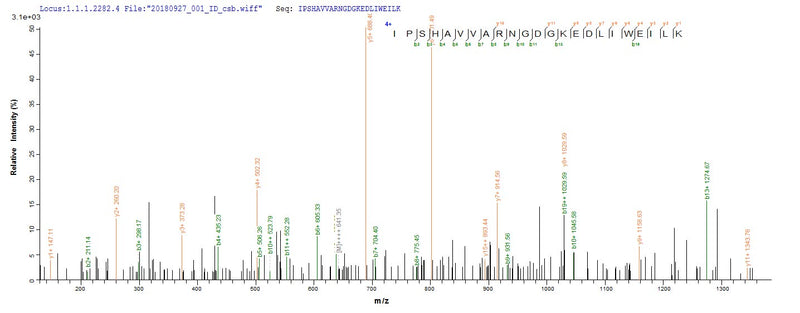 Based on the SEQUEST from database of Yeast host and target protein, the LC-MS/MS Analysis result of this product could indicate that this peptide derived from Yeast-expressed Rattus norvegicus (Rat) Tf.