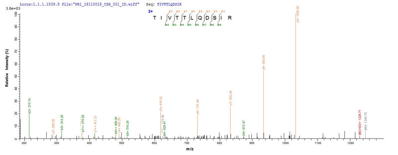 Based on the SEQUEST from database of Yeast host and target protein, the LC-MS/MS Analysis result of this product could indicate that this peptide derived from Yeast-expressed Mus musculus (Mouse) Thbs1.Recombinant Mouse Thrombospondin-1 (THBS1) Protein (His)