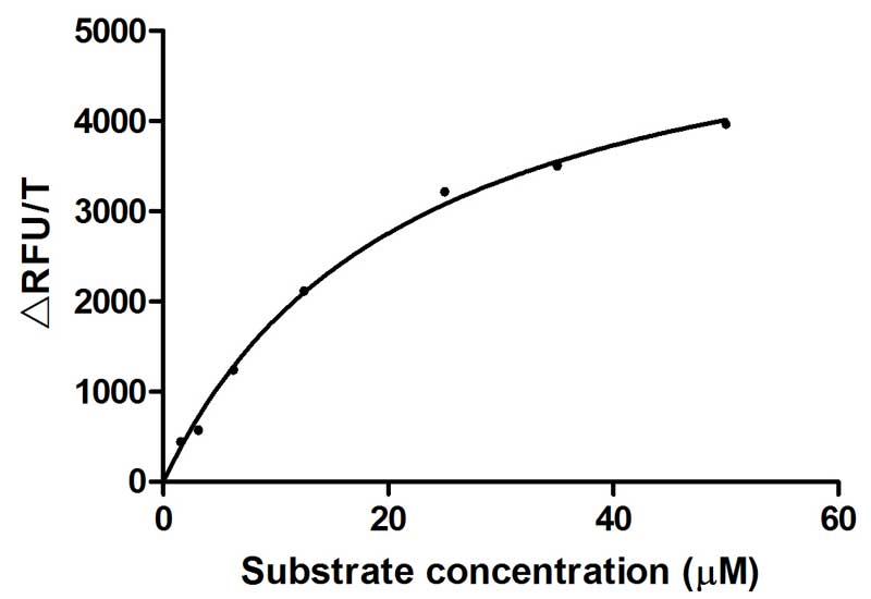 Recombinant Human TMPRSS2 His tag protein enzyme activity is measured by its ability to cleave fluorogenic peptide substrate(Boc-Gln-Ala-Arg-AMC), The Km is 21.93μM. Biological Activity AssayRecombinant Human Transmembrane Protease Serine 2 (TMPRSS2) Protein (His), Active