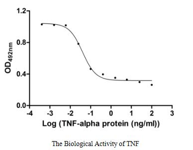 Activity Measured in a cytotoxicity assay using L‑929 mouse fibroblast cells in the presence of the metabolic inhibitor actinomycin D. The EC 50 for this effect is 33.32-47.38 pg/mL.
