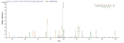 Based on the SEQUEST from database of Yeast host and target protein, the LC-MS/MS Analysis result of this product could indicate that this peptide derived from Yeast-expressed Macaca fascicularis (Crab-eating macaque) (Cynomolgus monkey) TPBG.Recombinant Cynomolgus Monkey Trophoblast Glycoprotein (TPBG) Protein (His)