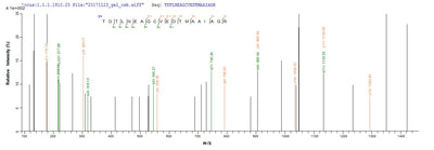 Based on the SEQUEST from database of Yeast host and target protein, the LC-MS/MS Analysis result of this product could indicate that this peptide derived from Yeast-expressed Helicobacter pylori (strain ATCC 700392 / 26695) (Campylobacter pylori) ureB.Recombinant Helicobacter Pylori Urease Subunit Beta (UREB) Protein (His)