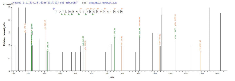 Based on the SEQUEST from database of Yeast host and target protein, the LC-MS/MS Analysis result of this product could indicate that this peptide derived from Yeast-expressed Helicobacter pylori (strain ATCC 700392 / 26695) (Campylobacter pylori) ureB.Recombinant Helicobacter Pylori Urease Subunit Beta (UREB) Protein (His)