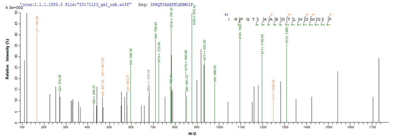 Based on the SEQUEST from database of Yeast host and target protein, the LC-MS/MS Analysis result of this product could indicate that this peptide derived from Yeast-expressed Helicobacter pylori (strain ATCC 700392 / 26695) (Campylobacter pylori) ureB.Recombinant Helicobacter Pylori Urease Subunit Beta (UREB) Protein (His)