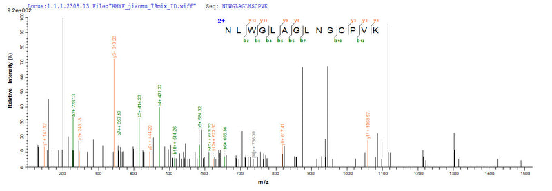 Based on the SEQUEST from database of Yeast host and target protein, the LC-MS/MS Analysis result of this product could indicate that this peptide derived from Yeast-expressed Macaca fascicularis (Crab-eating macaque) (Cynomolgus monkey) IL4.