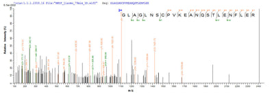 Based on the SEQUEST from database of Yeast host and target protein, the LC-MS/MS Analysis result of this product could indicate that this peptide derived from Yeast-expressed Macaca fascicularis (Crab-eating macaque) (Cynomolgus monkey) IL4.