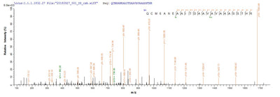 Based on the SEQUEST from database of Yeast host and target protein, the LC-MS/MS Analysis result of this product could indicate that this peptide derived from Yeast-expressed Vaccinia virus (strain Western Reserve) (VACV) (Vaccinia virus (strain WR)) VACWR156.Recombinant Vaccinia Virus Protein A33 (VACWR156) Protein (His)