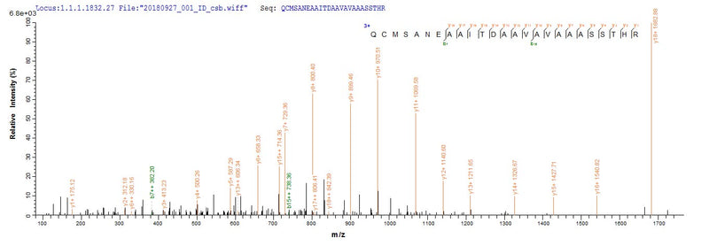 Based on the SEQUEST from database of Yeast host and target protein, the LC-MS/MS Analysis result of this product could indicate that this peptide derived from Yeast-expressed Vaccinia virus (strain Western Reserve) (VACV) (Vaccinia virus (strain WR)) VACWR156.Recombinant Vaccinia Virus Protein A33 (VACWR156) Protein (His)