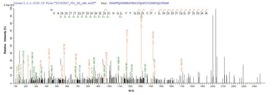 Based on the SEQUEST from database of Yeast host and target protein, the LC-MS/MS Analysis result of this product could indicate that this peptide derived from Yeast-expressed Vaccinia virus (strain Western Reserve) (VACV) (Vaccinia virus (strain WR)) VACWR156.Recombinant Vaccinia Virus Protein A33 (VACWR156) Protein (His)