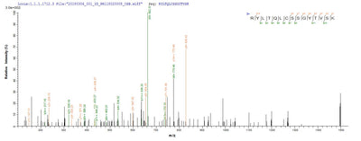 Based on the SEQUEST from database of Yeast host and target protein, the LC-MS/MS Analysis result of this product could indicate that this peptide derived from Yeast-expressed Candida albicans (strain SC5314 / ATCC MYA-2876) (Yeast) PRA1.Recombinant Candida Albicans Ph-Regulated Antigen Pra1 (PRA1) Protein (His)