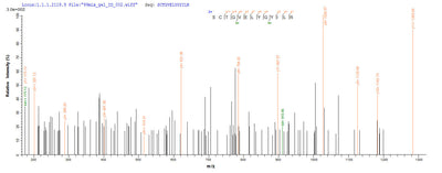 Based on the SEQUEST from database of Yeast host and target protein, the LC-MS/MS Analysis result of this product could indicate that this peptide derived from Yeast-expressed Ceratopteris richardii (Triangle waterfern) Cyanovirin-N homolog.Recombinant Ceratopteris Richardii Cyanovirin-N Homolog (CV-N HOMOLOG) Protein (His)