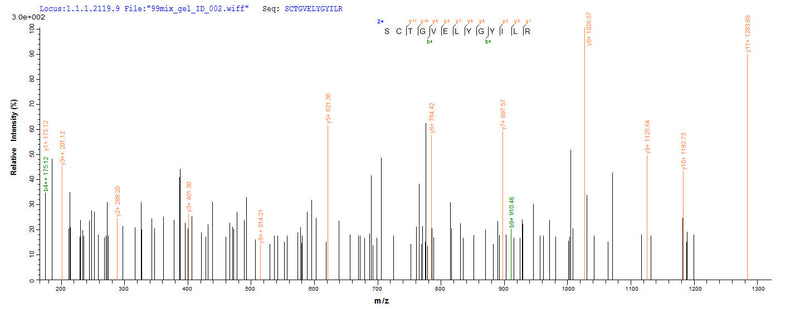 Based on the SEQUEST from database of Yeast host and target protein, the LC-MS/MS Analysis result of this product could indicate that this peptide derived from Yeast-expressed Ceratopteris richardii (Triangle waterfern) Cyanovirin-N homolog.Recombinant Ceratopteris Richardii Cyanovirin-N Homolog (CV-N HOMOLOG) Protein (His)