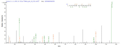 Based on the SEQUEST from database of Yeast host and target protein, the LC-MS/MS Analysis result of this product could indicate that this peptide derived from Yeast-expressed Ceratopteris richardii (Triangle waterfern) Cyanovirin-N homolog.