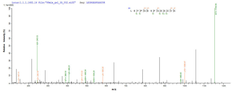 Based on the SEQUEST from database of Yeast host and target protein, the LC-MS/MS Analysis result of this product could indicate that this peptide derived from Yeast-expressed Ceratopteris richardii (Triangle waterfern) Cyanovirin-N homolog.Recombinant Ceratopteris Richardii Cyanovirin-N Homolog (CV-N HOMOLOG) Protein (His)