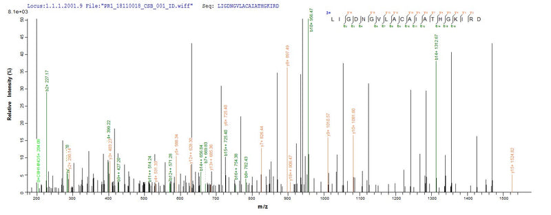 Based on the SEQUEST from database of Yeast host and target protein, the LC-MS/MS Analysis result of this product could indicate that this peptide derived from Yeast-expressed Dermatophagoides farinae (American house dust mite) DERF2.