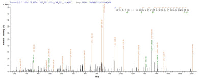 Based on the SEQUEST from database of Yeast host and target protein, the LC-MS/MS Analysis result of this product could indicate that this peptide derived from Yeast-expressed Dermatophagoides farinae (American house dust mite) DERF2.