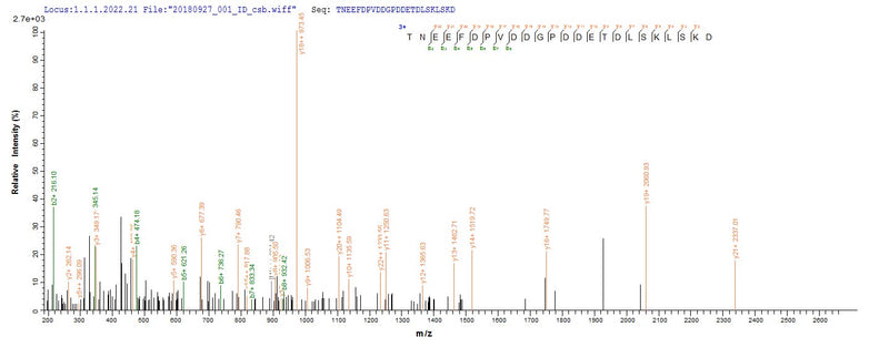 Based on the SEQUEST from database of Yeast host and target protein, the LC-MS/MS Analysis result of this product could indicate that this peptide derived from Yeast-expressed Vaccinia virus (strain Western Reserve) (VACV) (Vaccinia virus (strain WR)) PS/HR.Recombinant Vaccinia Virus Protein B5 (PS/HR) Protein (His)