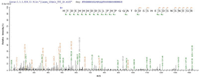 Based on the SEQUEST from database of Yeast host and target protein, the LC-MS/MS Analysis result of this product could indicate that this peptide derived from Yeast-expressed Epstein-Barr virus (strain GD1) (HHV-4) (Human herpesvirus 4) LMP1.Recombinant Epstein-Barr Virus Latent Membrane Protein 1 (LMP1) Protein (His)