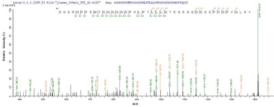 Based on the SEQUEST from database of Yeast host and target protein, the LC-MS/MS Analysis result of this product could indicate that this peptide derived from Yeast-expressed Epstein-Barr virus (strain GD1) (HHV-4) (Human herpesvirus 4) LMP1.Recombinant Epstein-Barr Virus Latent Membrane Protein 1 (LMP1) Protein (His)
