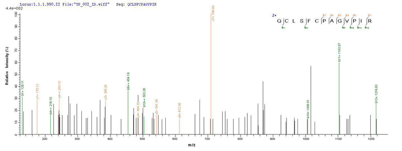 Based on the SEQUEST from database of Yeast host and target protein, the LC-MS/MS Analysis result of this product could indicate that this peptide derived from Yeast-expressed Mus musculus (Mouse) Ly6c1.Recombinant Mouse Lymphocyte Antigen 6C1 (LY6C1) Protein (His)