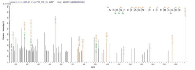 Based on the SEQUEST from database of Yeast host and target protein, the LC-MS/MS Analysis result of this product could indicate that this peptide derived from Yeast-expressed Mus musculus (Mouse) Ly6c1.Recombinant Mouse Lymphocyte Antigen 6C1 (LY6C1) Protein (His)